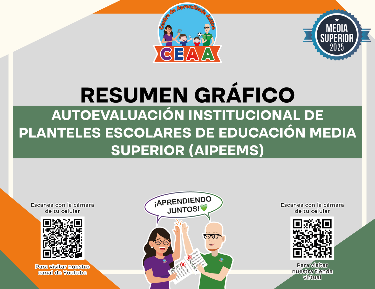 Resumen Gráfico Autoevaluación Institucional de Planteles Escolares de Educación Media Superior (AIPEEMS)