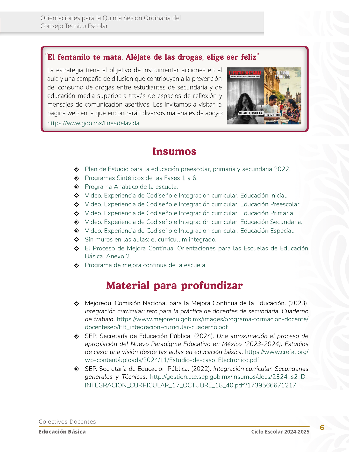 Cuadernillo CTE Quinta Sesión Febrero 2025