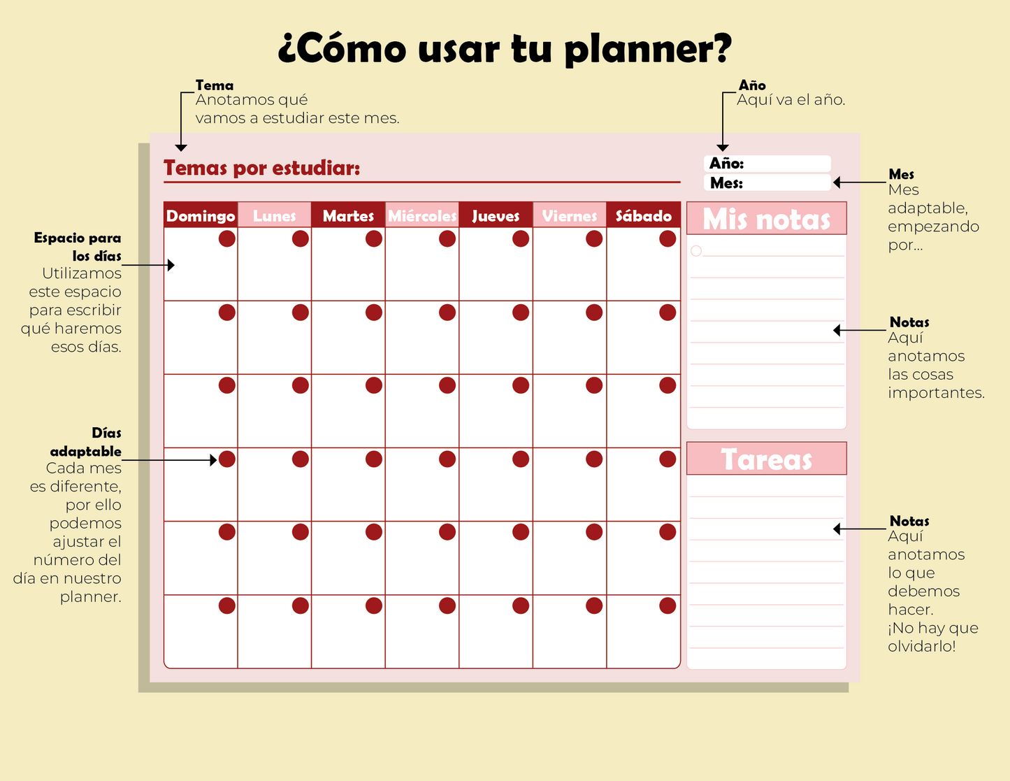 Cuadernillo de Estudios Promoción Horizontal 2025
