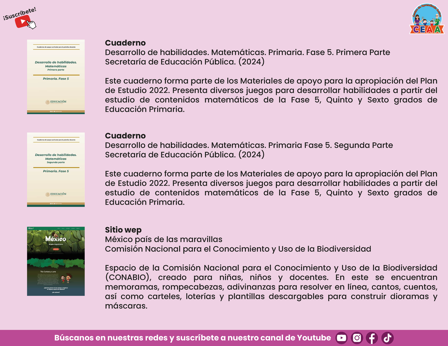 Presentación CTE TEMA 6: EL PAPEL DEL JUEGO EN EL DESARROLLO DE LOS APRENDIZAJES
