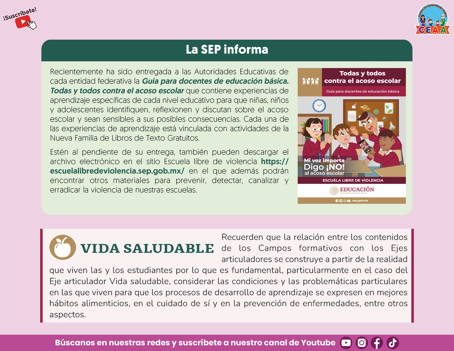 Presentación CTE TEMA 6: EL PAPEL DEL JUEGO EN EL DESARROLLO DE LOS APRENDIZAJES