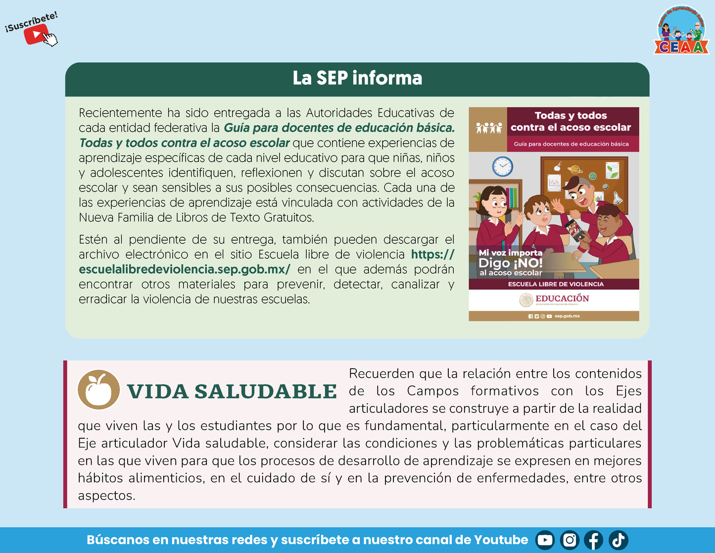 Presentación CTE TEMA 7: EL DESARROLLO DE LOS APRENDIZAJES DE LAS Y LOS ADOLESCENTES
