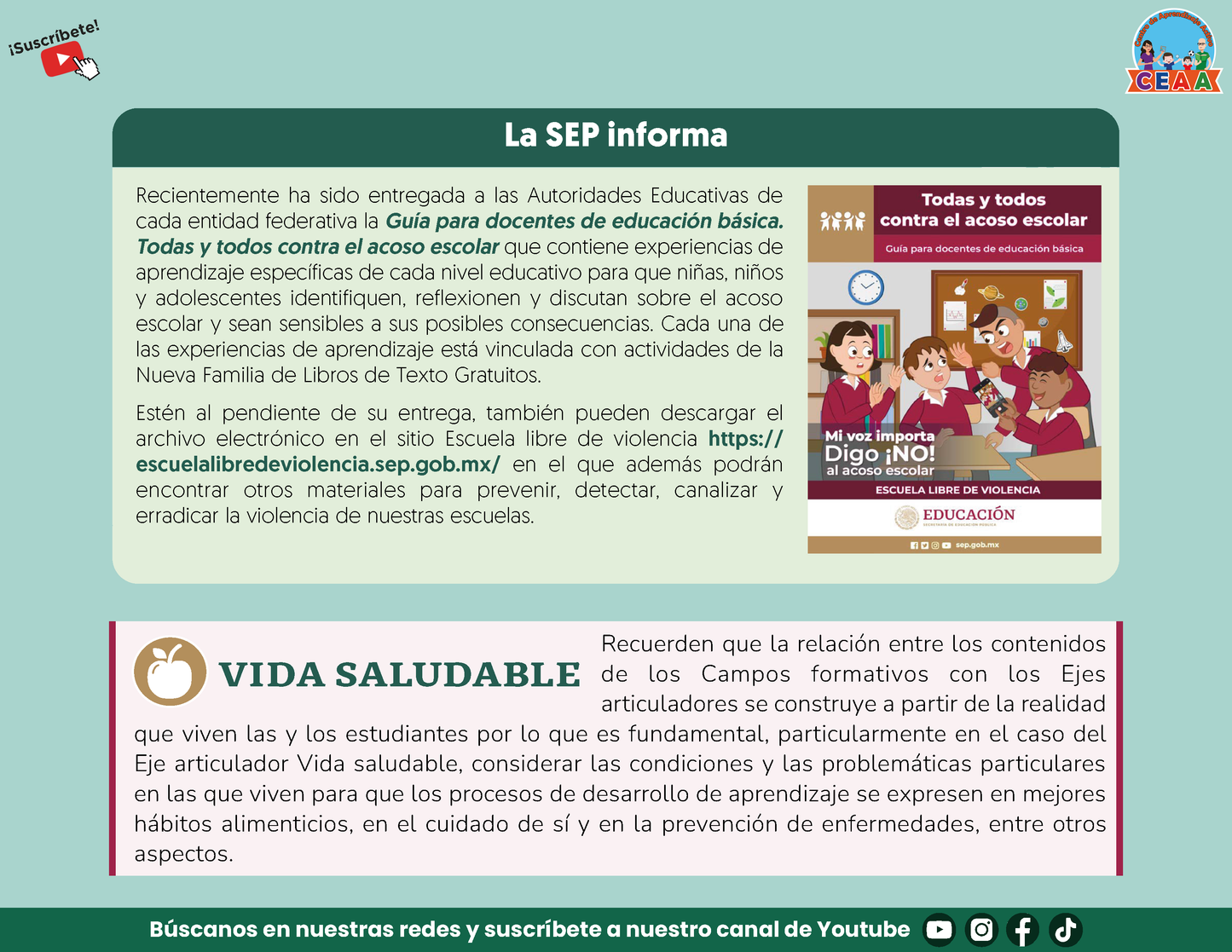 Presentación CTE Tema 8: Estrategias Metodológicas Didácticas Diferentes a los Proyectos