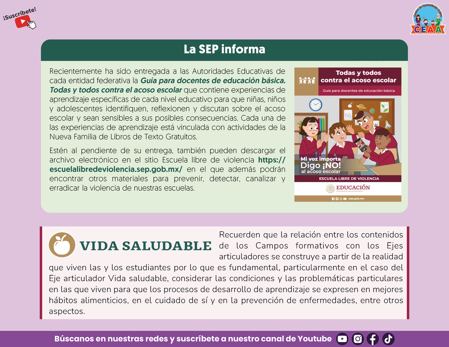Presentación CTE TEMA 9: EDUCACIÓN LA NEM Y LA ESPECIAL