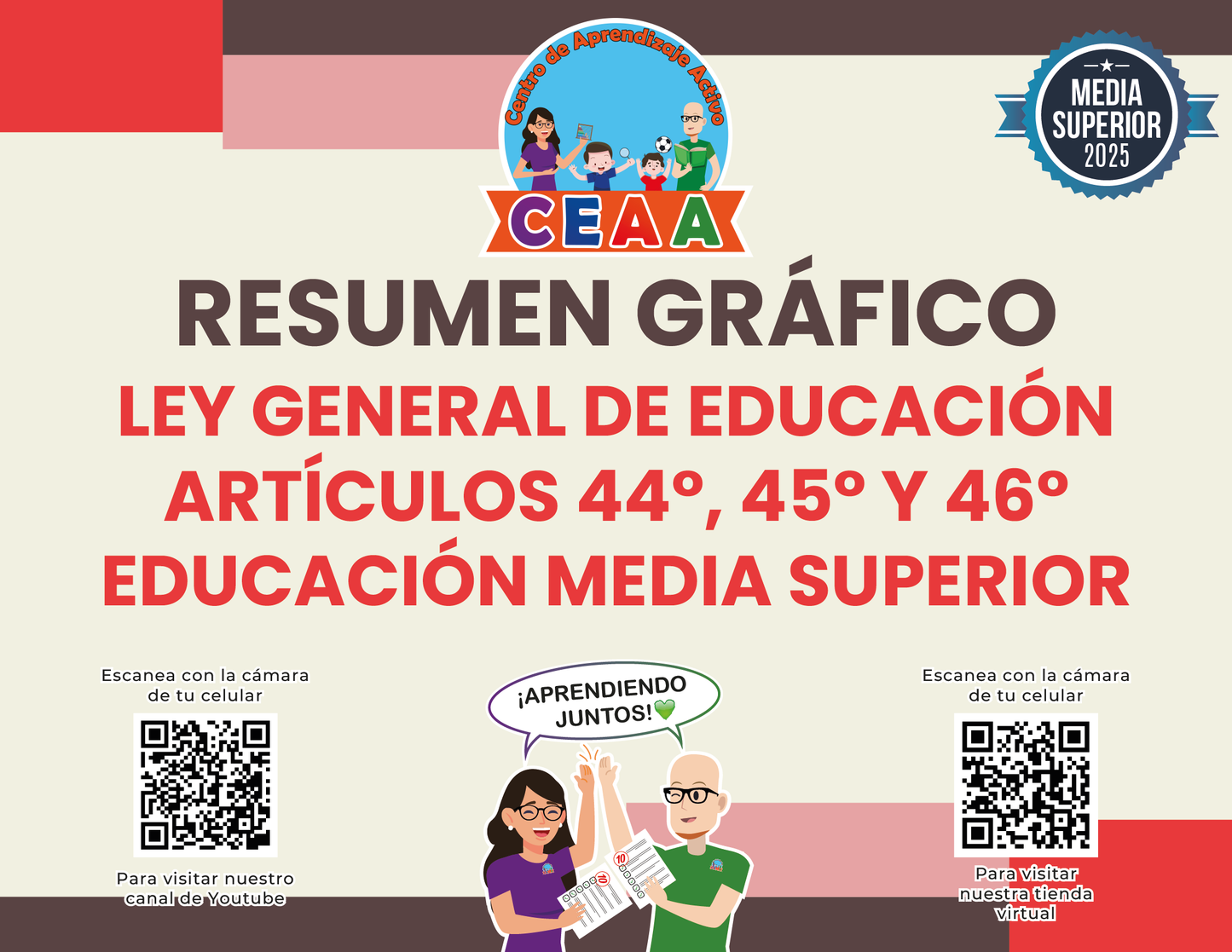 Resumen Gráfico Ley General de Educación Artículos 44°, 45° y 46° - Educación Media Superior