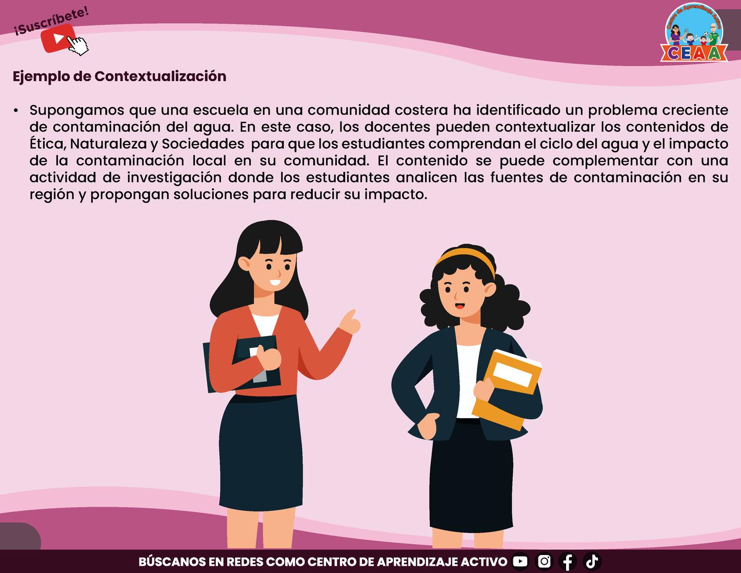 Resumen Gráfico - El Programa Analítico en PDF