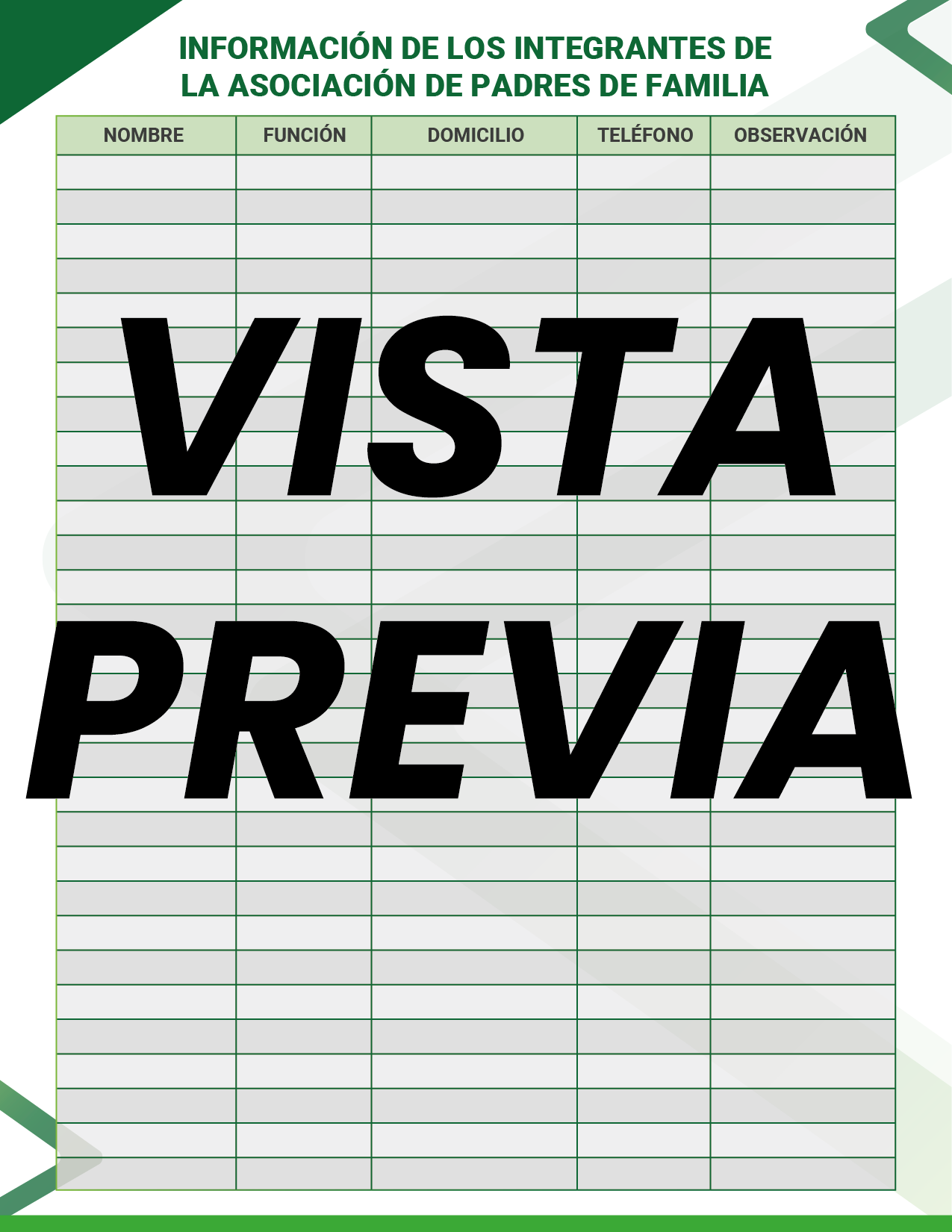 Agenda Formal Verde DIRECTOR Preescolar