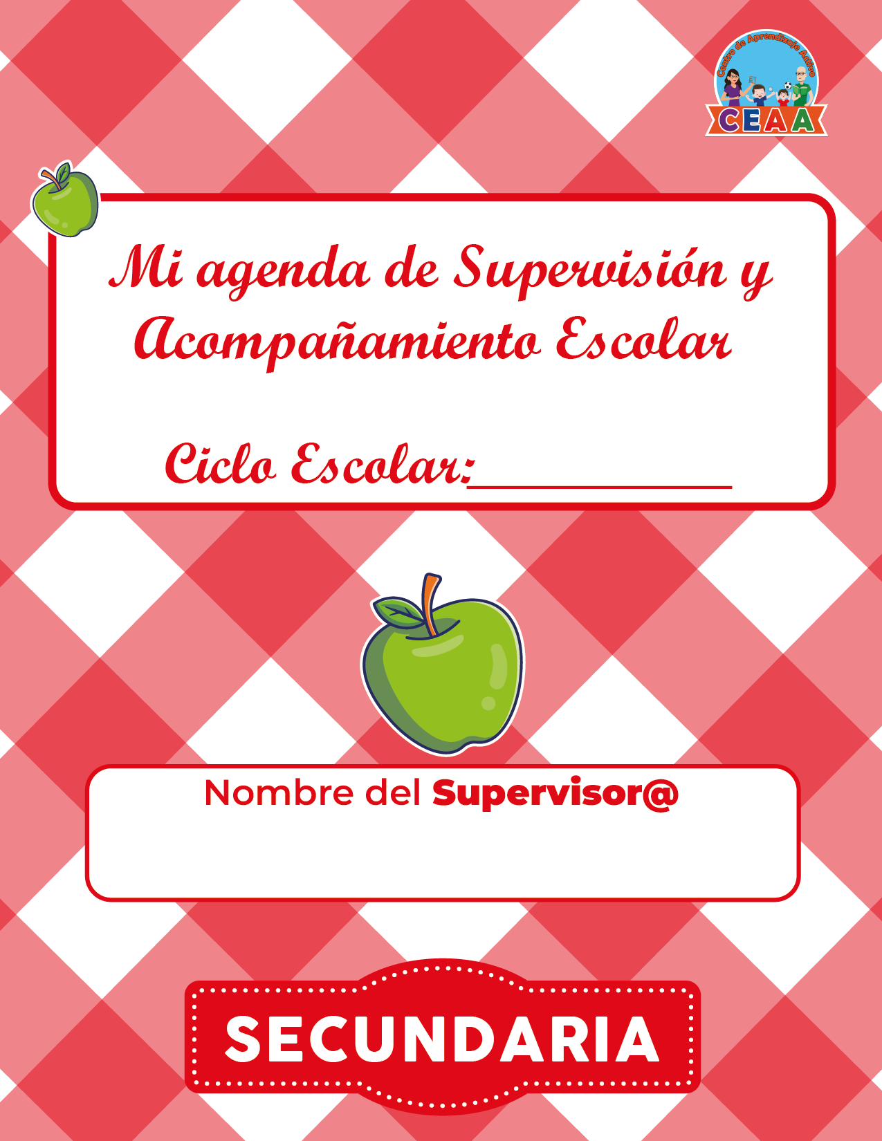 Agenda Manzana SUPERVISOR Secundaria