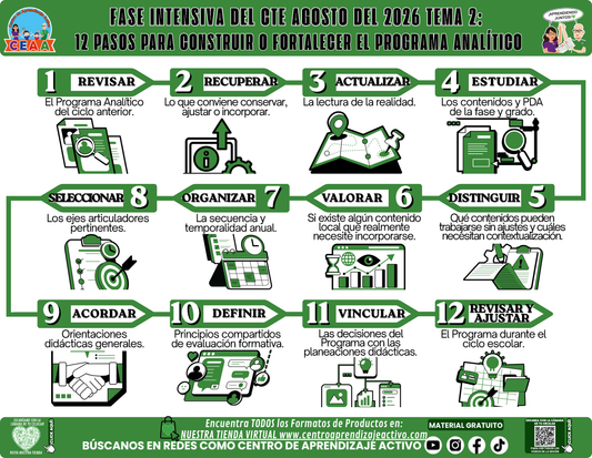 Infografía CTE Fase Intensiva: TEMA 2: 12 PASOS PARA CONSTRUIR O FORTALECER EL PROGRAMA ANALÍTICO en PDF