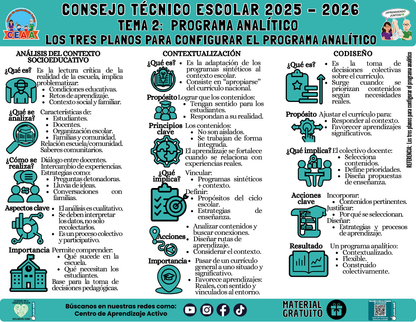 Infografía: TEMA 2: PROGRAMA ANALÍTICO - LOS TRES PLANOS PARA CONFIGURAR EL PROGRAMA ANALÍTICO en PDF