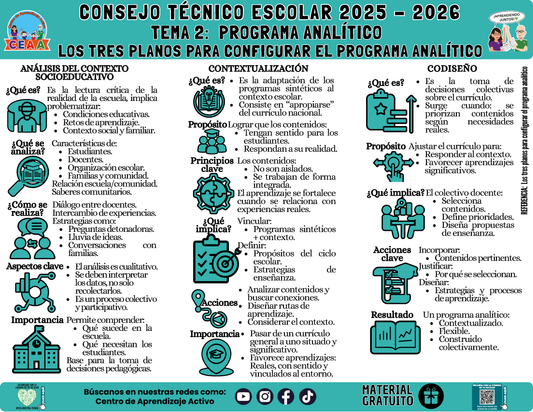Infografía: TEMA 2: PROGRAMA ANALÍTICO - LOS TRES PLANOS PARA CONFIGURAR EL PROGRAMA ANALÍTICO en PDF