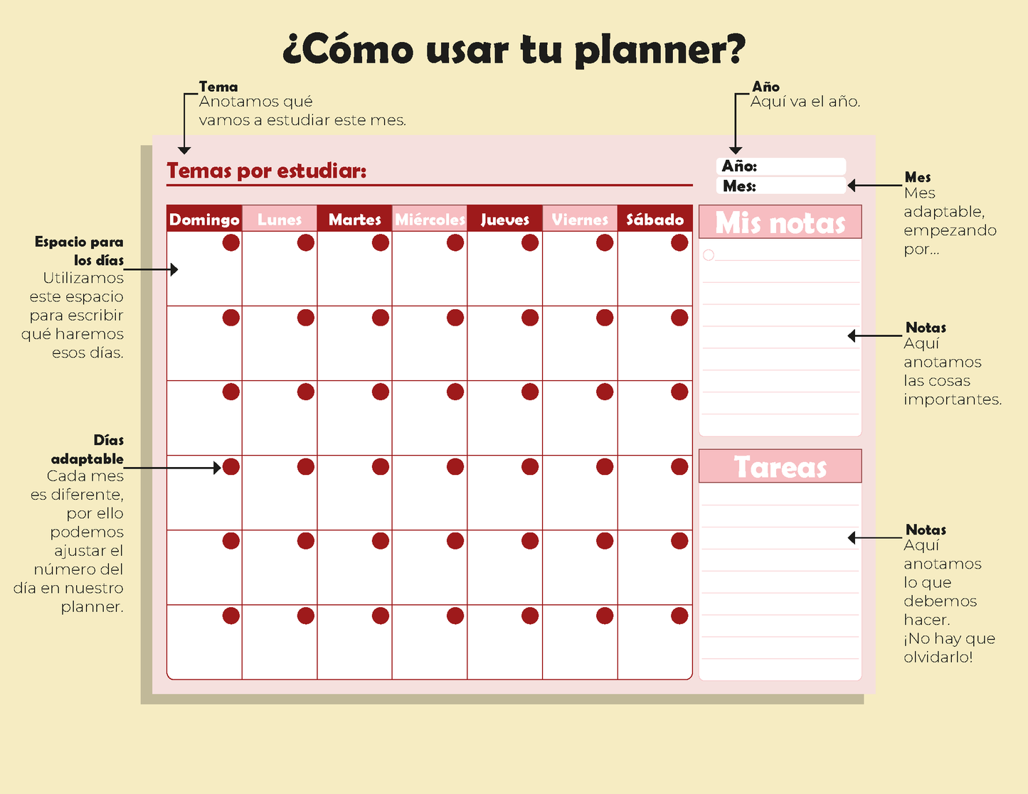 Cuadernillo Promoción Horizontal Educación Básica 2026
