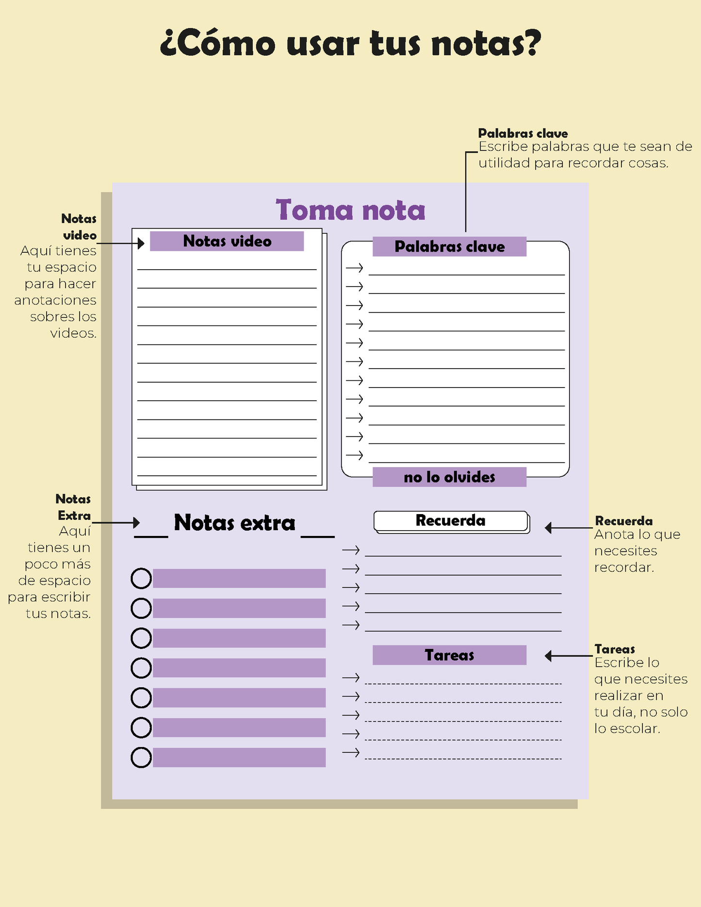 Cuadernillo Promoción Vertical Educación Básica 2026