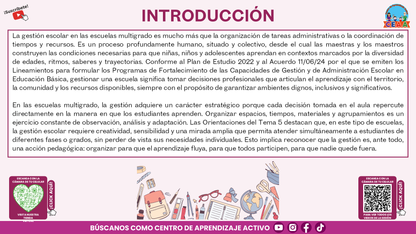 Resumen Gráfico CTE Multigrado TEMA 5: ¿QUÉ ES Y CÓMO SE LOGRA LA GESTIÓN ESCOLAR EN LAS ESCUELAS MULTIGRADO? (Editable en PowerPoint)