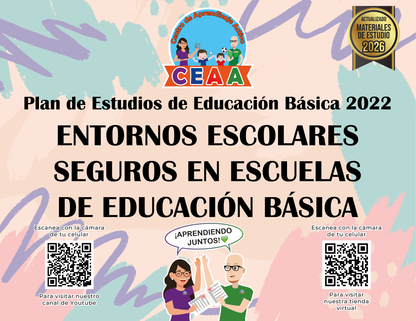 Resumen Gráfico Entornos Escolares Seguros en Escuelas de Educación