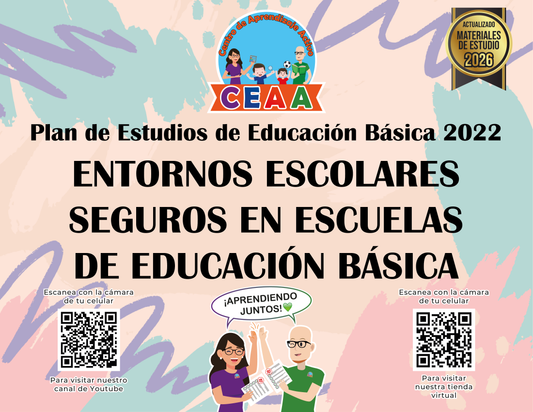 Resumen Gráfico Entornos Escolares Seguros en Escuelas de Educación