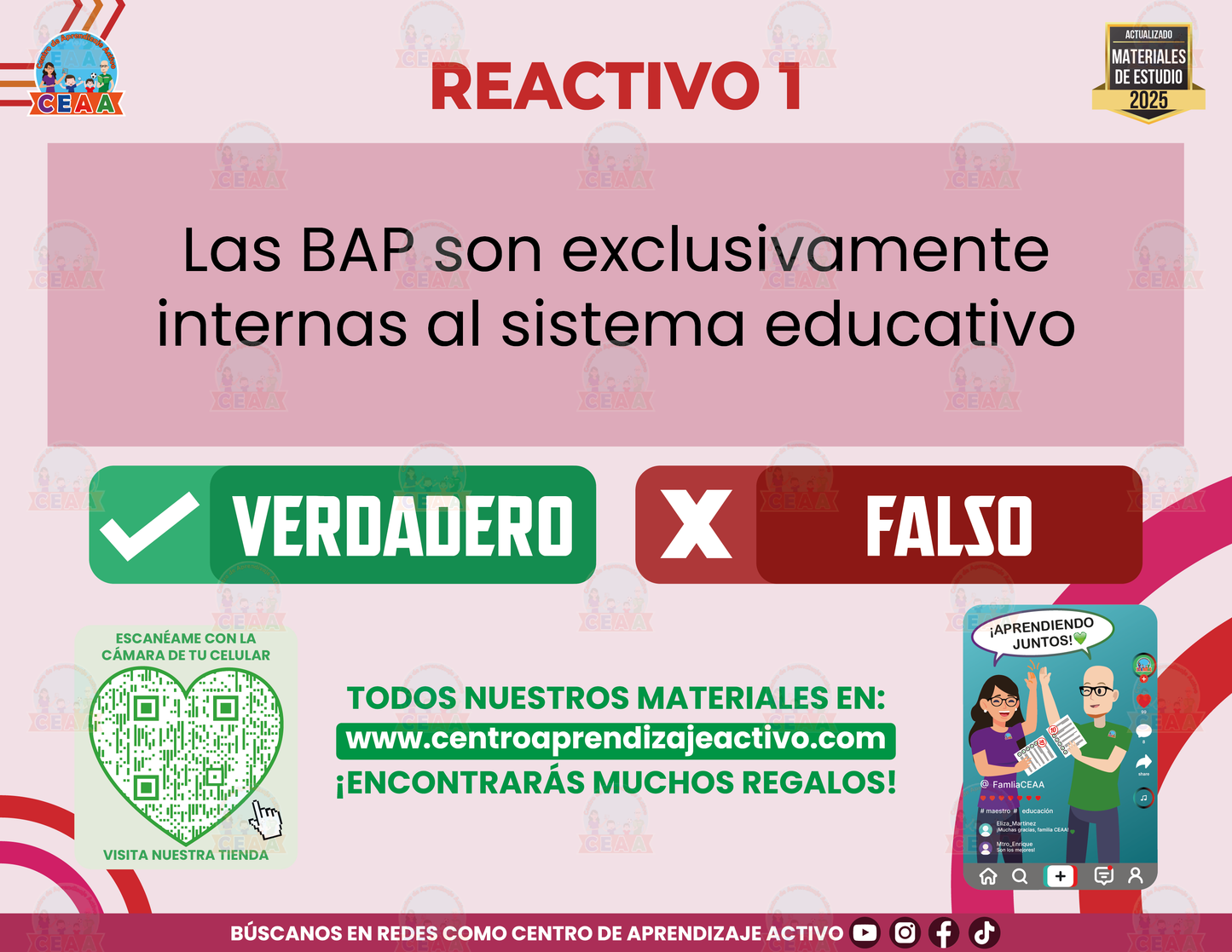 Cuadernillo de Estudio - Estrategia Nacional De Educación Inclusiva - Verdadero o Falso