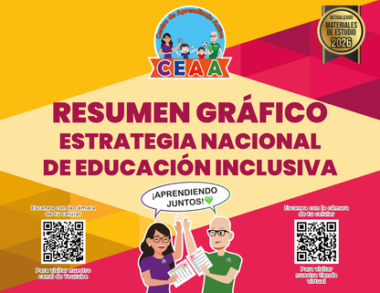 Resumen Gráfico Estrategia Nacional de Educación Inclusiva