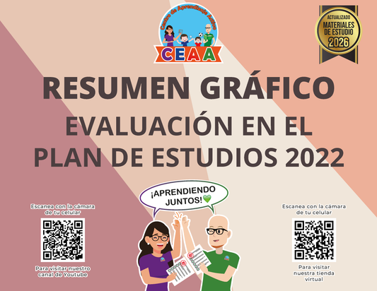 Resumen Gráfico - Evaluación en el Plan de Estudios 2022