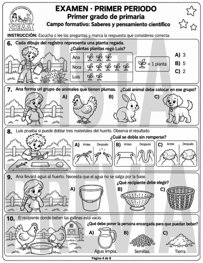Examen 1er Grado de Primaria - Primer Periodo