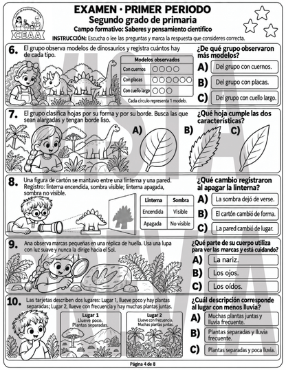 Examen 2do Grado de Primaria - Primer Periodo