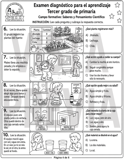 Examen Diagnóstico 3° Grado de Primaria