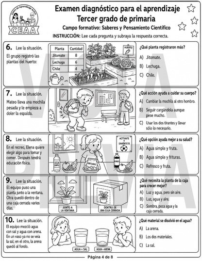 Examen Diagnóstico 3° Grado de Primaria en PDF