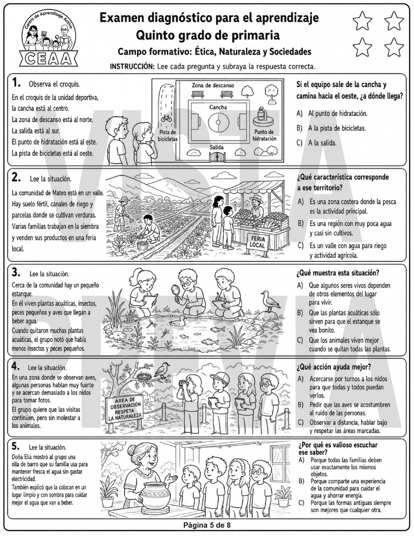 Examen Diagnóstico 5° Grado de Primaria en PDF