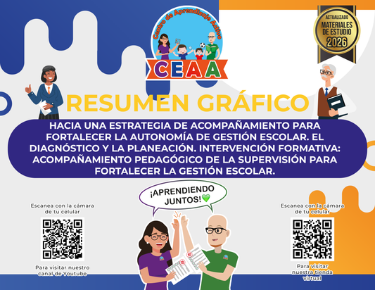 Resumen Gráfico Hacia Una Estrategia de Acompañamiento