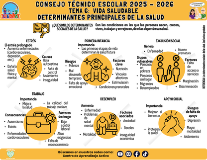 Infografía: TEMA 6: VIDA SALUDABLE - DETERMINANTES PRINCIPALES DE LA SALUD (Editable en PowerPoint)