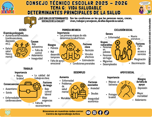 Infografía: TEMA 6: VIDA SALUDABLE - DETERMINANTES PRINCIPALES DE LA SALUD (Editable en PowerPoint)