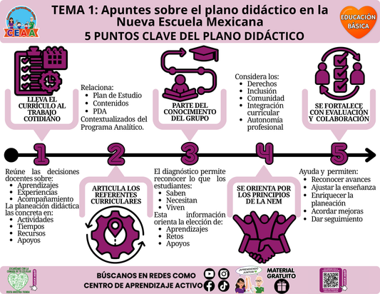Infografía de Educación Básica, tema 1: 5 puntos clave del plano didáctico, PDF gratuito.