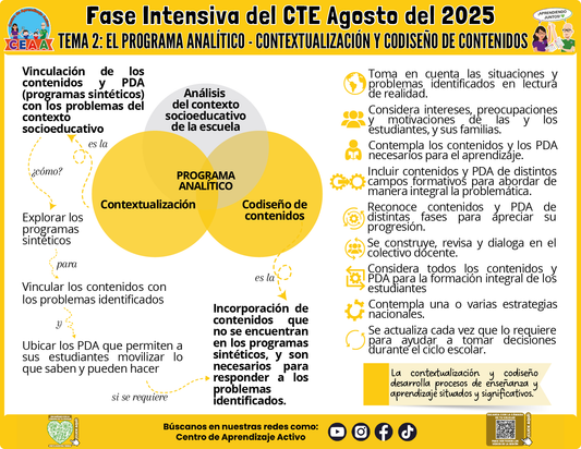 Infografía CTE Fase Intensiva Tema 2 El Programa Analítico - Contextualización y Codiseño de Contenidos en PDF (Editable en PowePoinr)