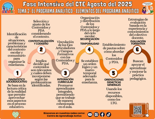 Infografía CTE Fase Intensiva Tema 2 El Programa Analítico - Elementos del Programa Analítico (Editable en PowerPoint)