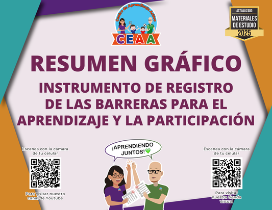 Resumen Gráfico Instrumento de Registro de las Barreras para el Aprendizaje y la Participación