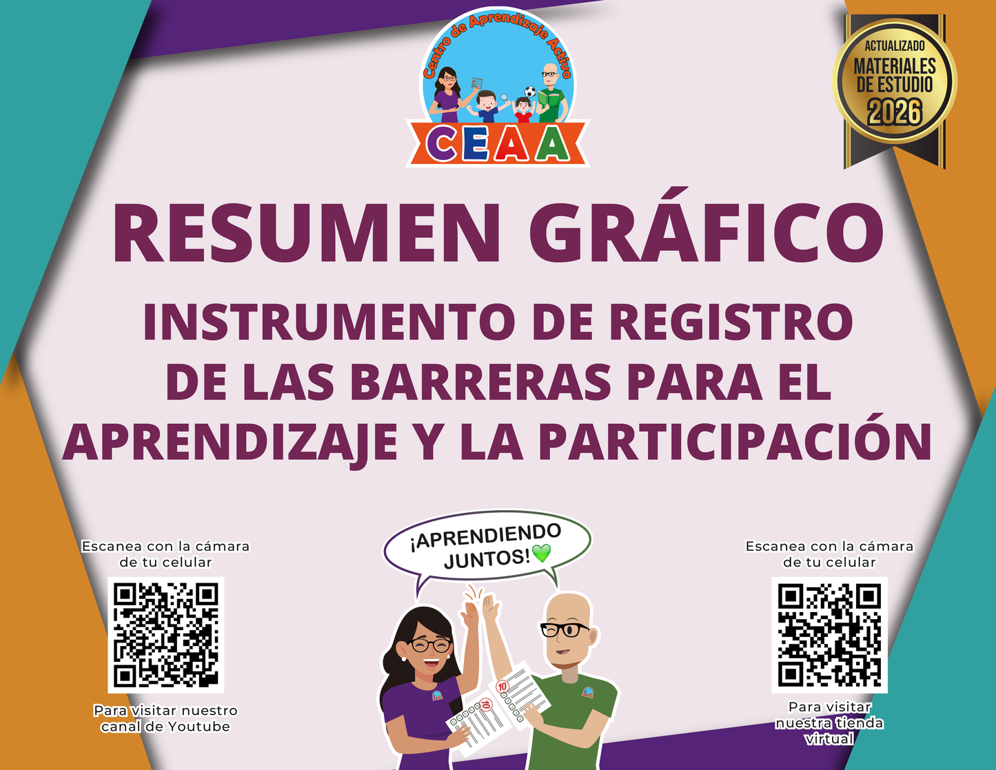 Resumen Gráfico Instrumento de Registro de las Barreras para el Aprendizaje y la Participación