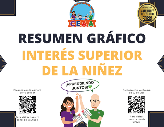 Resumen Gráfico - Interés Superior de la Niñez