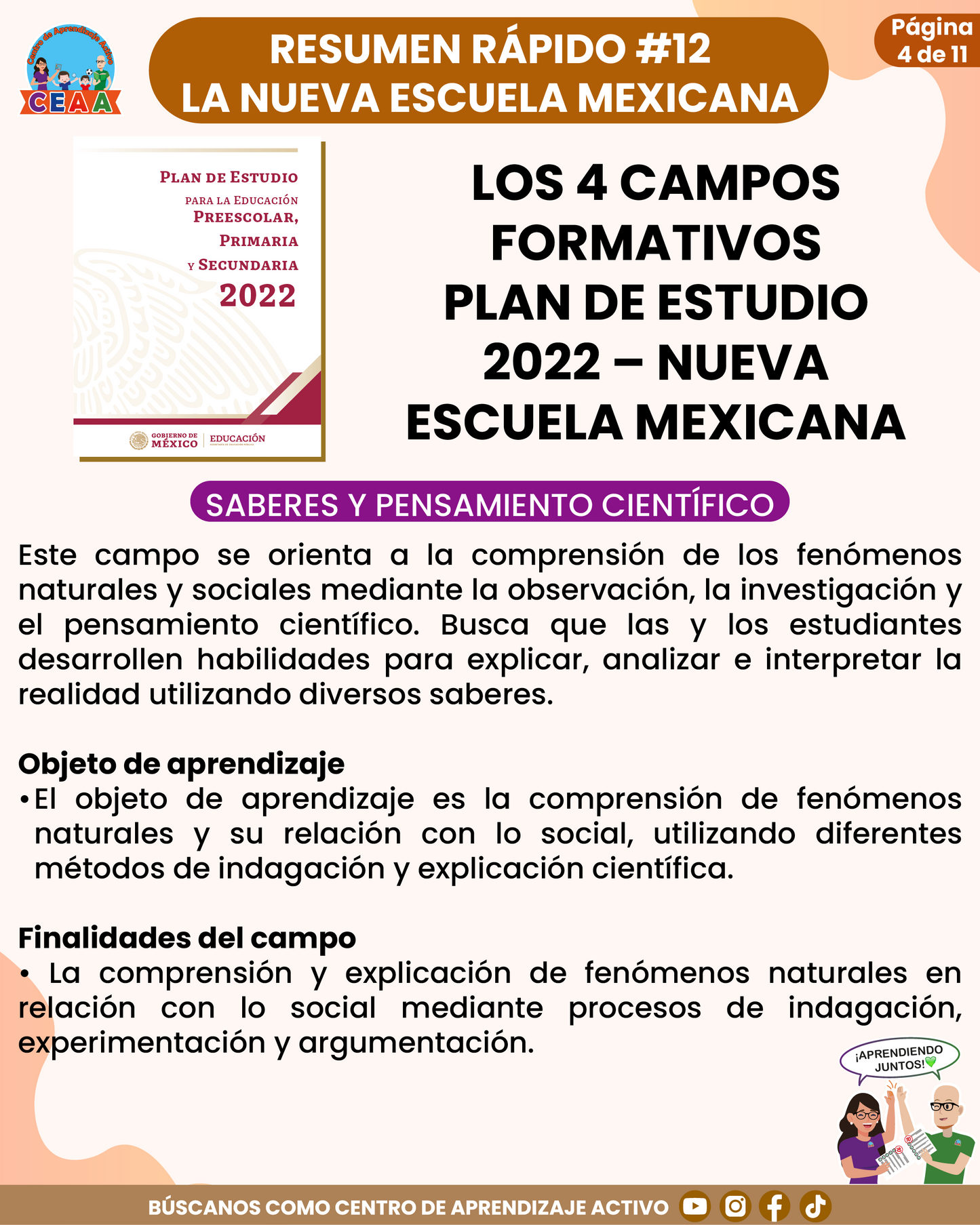 Resumen Rápido #12: LOS 4 CAMPOS FORMATIVOS PLAN DE ESTUDIO 2022 – NUEVA ESCUELA MEXICANA