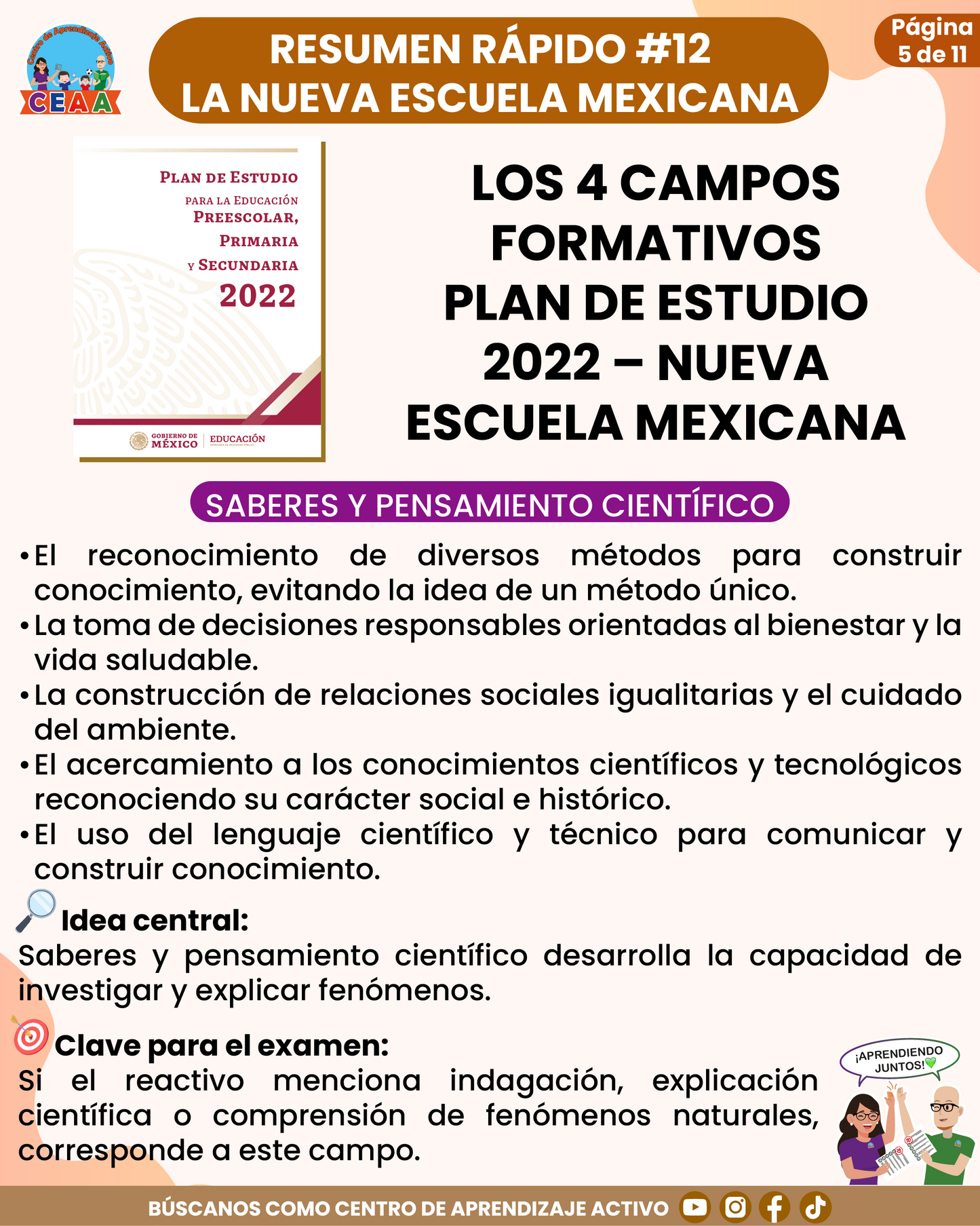 Resumen Rápido #12: LOS 4 CAMPOS FORMATIVOS PLAN DE ESTUDIO 2022 – NUEVA ESCUELA MEXICANA