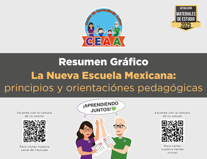 Resumen Gráfico La Nueva Escuela Mexicana