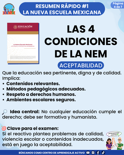 Resumen Rápido #1: LAS 4 CONDICIONES DE LA NEM