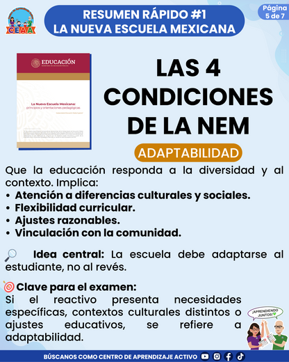 Resumen Rápido #1: LAS 4 CONDICIONES DE LA NEM