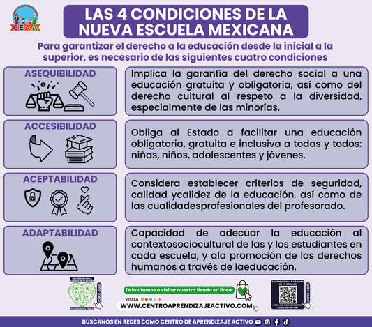 Infografía Las 4 Condiciones de la NEM