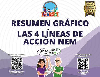 Resumen Gráfico - Las 4 Líneas de Acción de la NEM