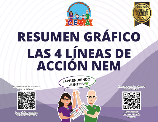 Resumen Gráfico - Las 4 Líneas de Acción de la NEM