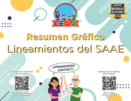 Resumen Gráfico Lineamientos del SAAE