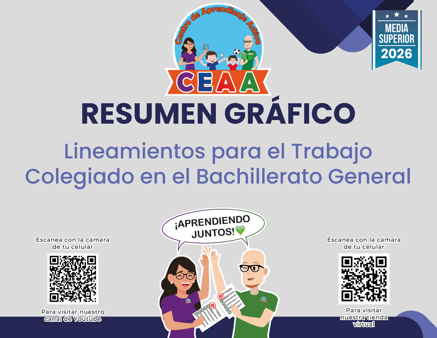 Resumen Gráfico: Lineamientos para el Trabajo Colegiado en el Bachillerato General - Media Superior