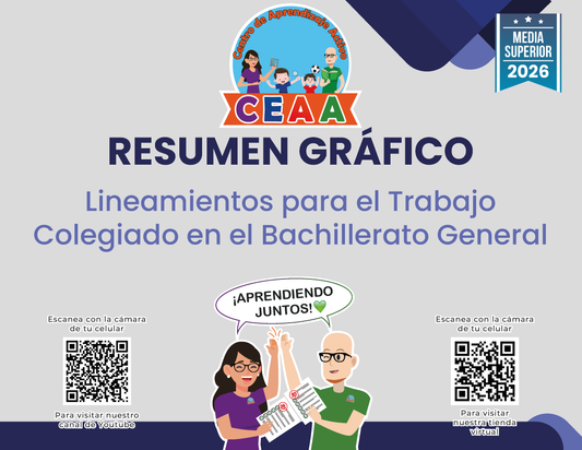 Resumen Gráfico: Lineamientos para el Trabajo Colegiado en el Bachillerato General - Media Superior