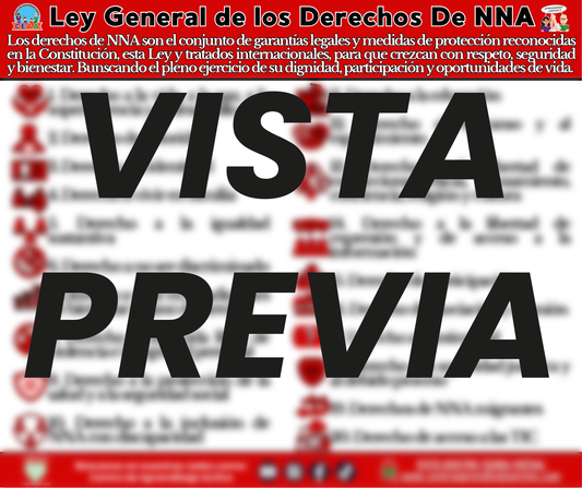Infografía Los 20 Derechos de NNA