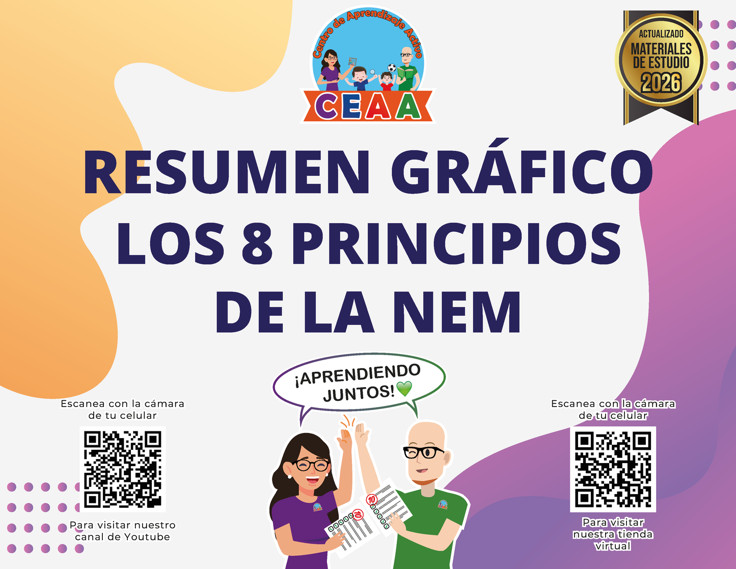 Resumen Gráfico - Los 8 Principios de la NEM